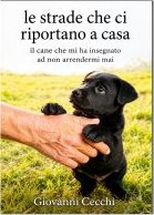 libro Le strade che ci riportano a casa